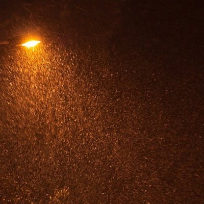 夜晚路灯下雪花飞舞的样子