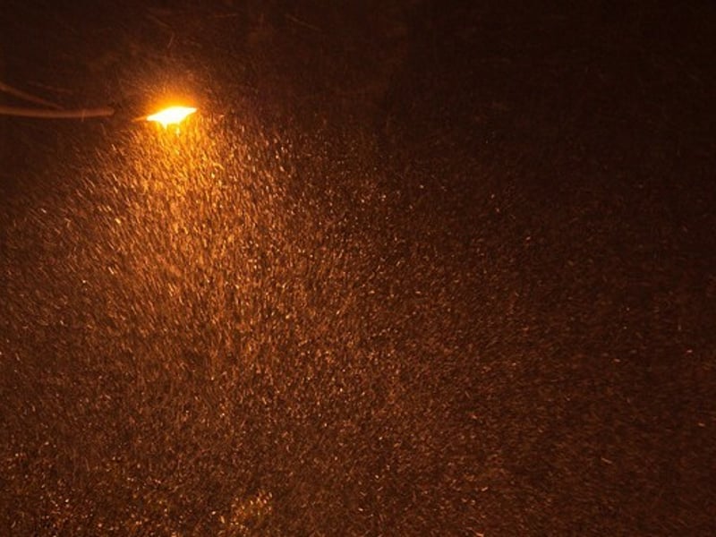 夜晚路灯下雪花飞舞的样子