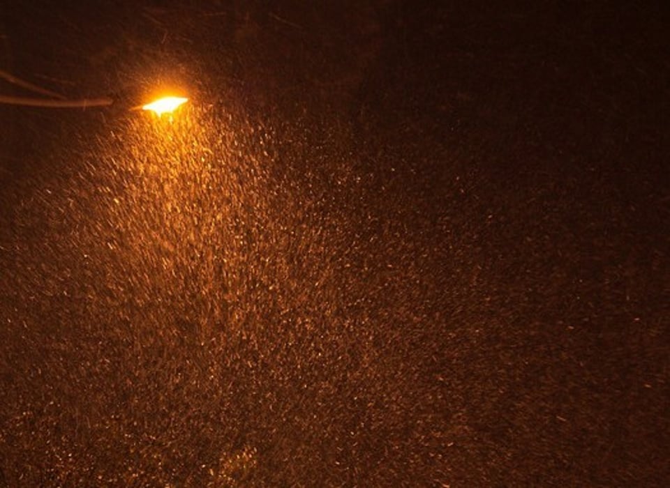 夜晚路灯下雪花飞舞的样子