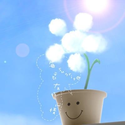 不承认也不否认