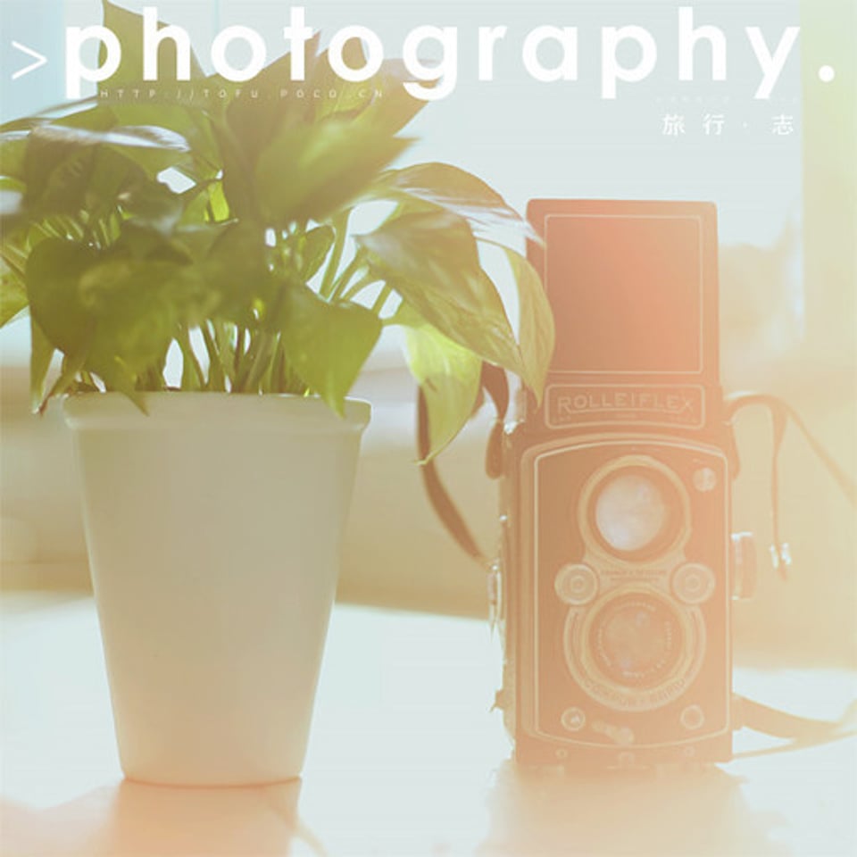 作业好多压的不行了放弃了