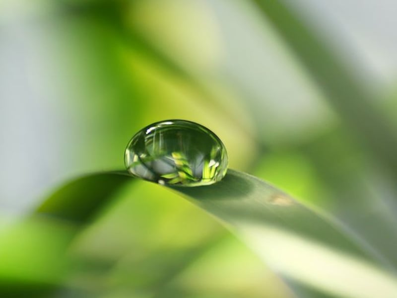 法国动画片 小世界