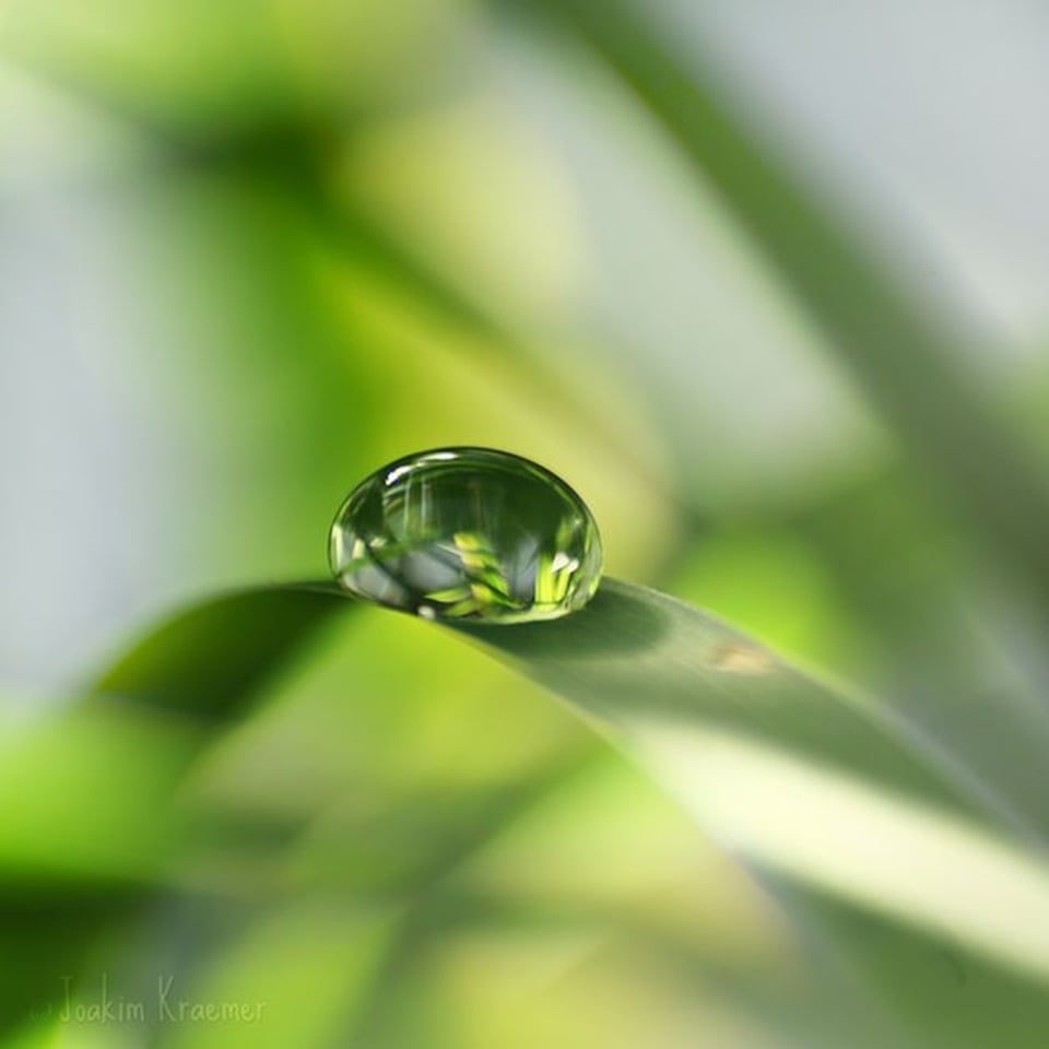 法国动画片 小世界