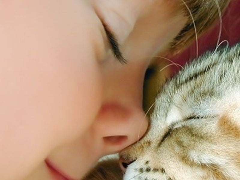 丧心病狂这个词喜感的用法