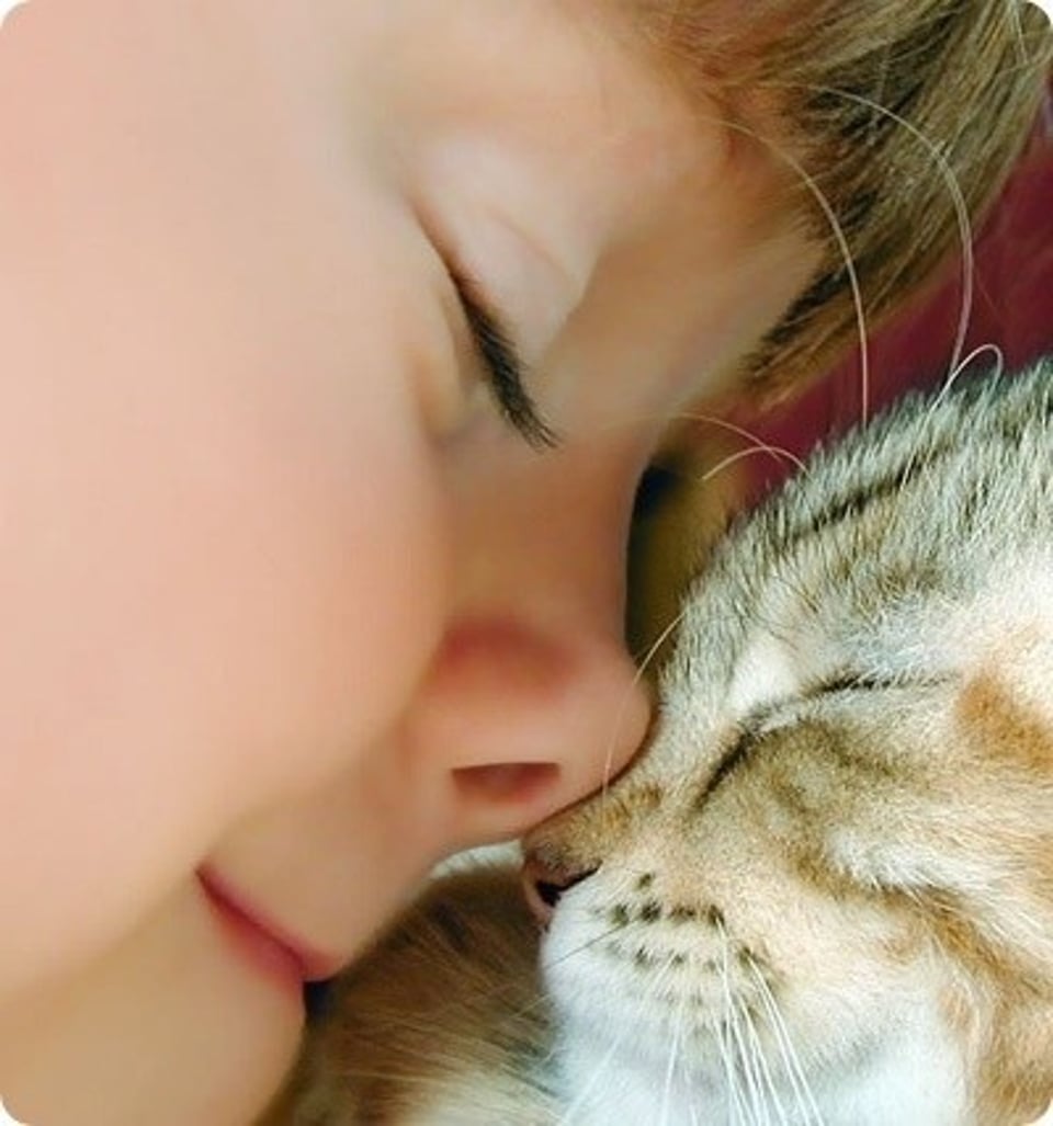 丧心病狂这个词喜感的用法