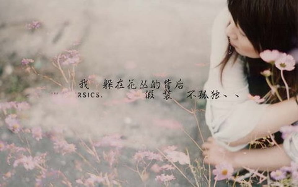 我一直不愿意承认你是我生命中的过客