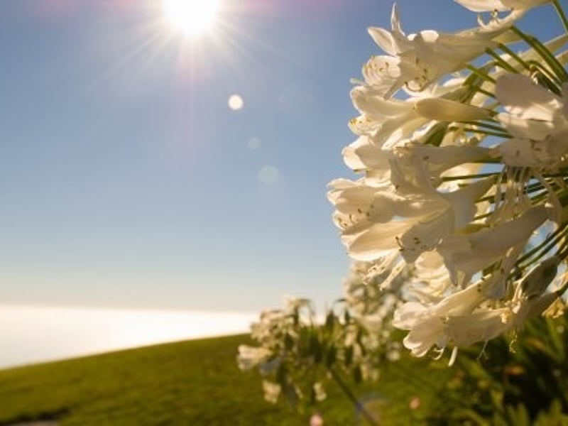 CLOSER   这歌旋律写着现在的心情