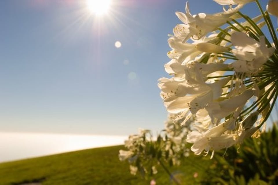 CLOSER   这歌旋律写着现在的心情