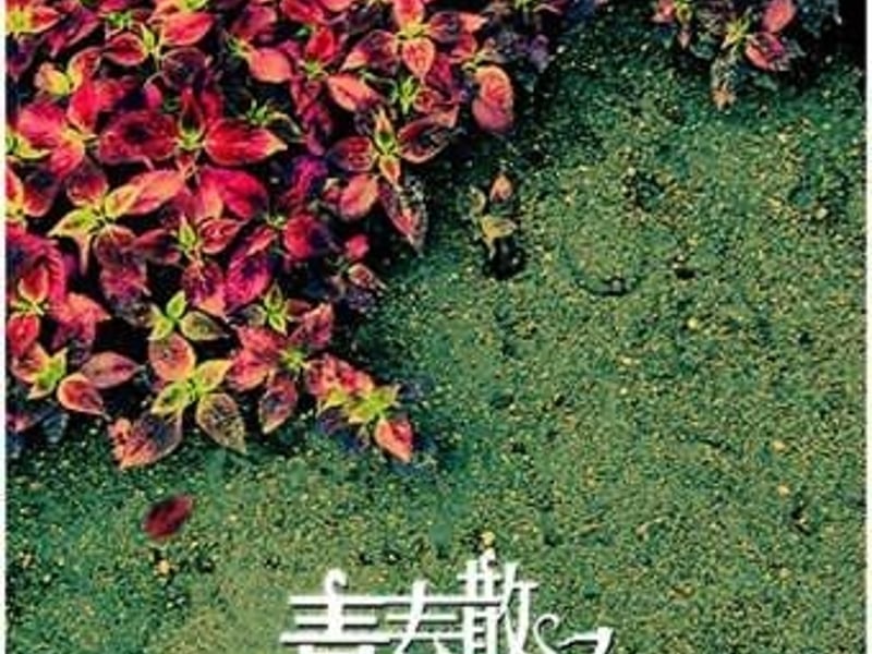 丑小鸭遇见王子变成白雪公主