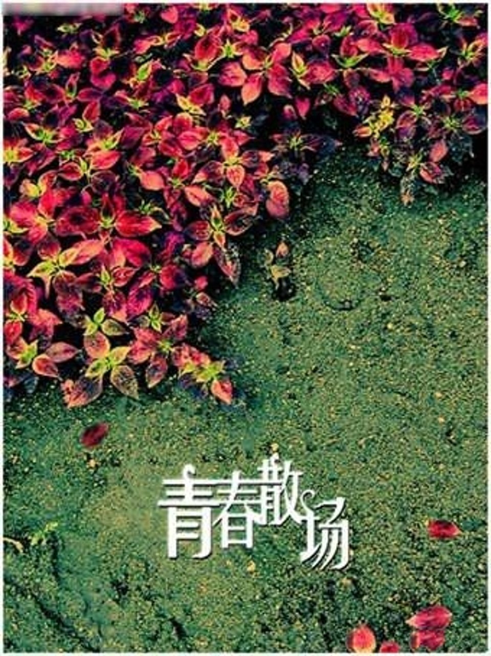 丑小鸭遇见王子变成白雪公主