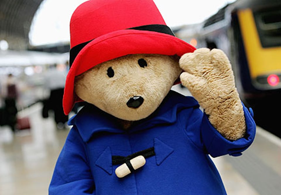 paddington bear