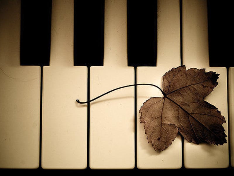 最好的爱煞人武器