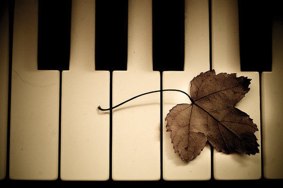 最好的爱煞人武器