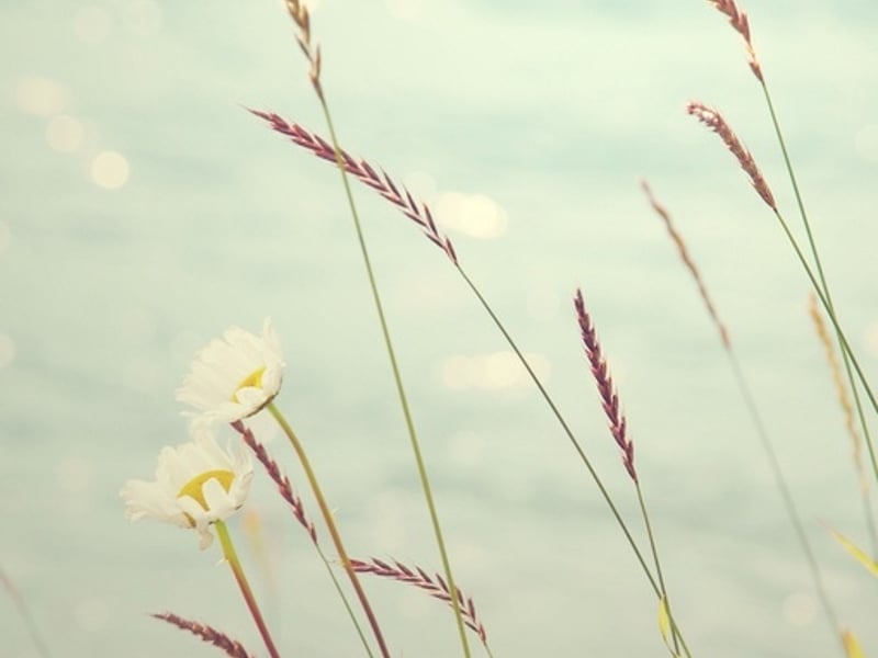 歌最特别的存在