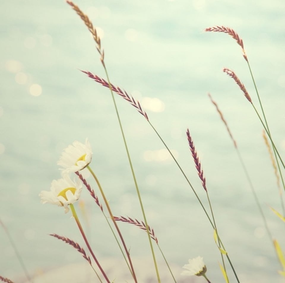 歌最特别的存在