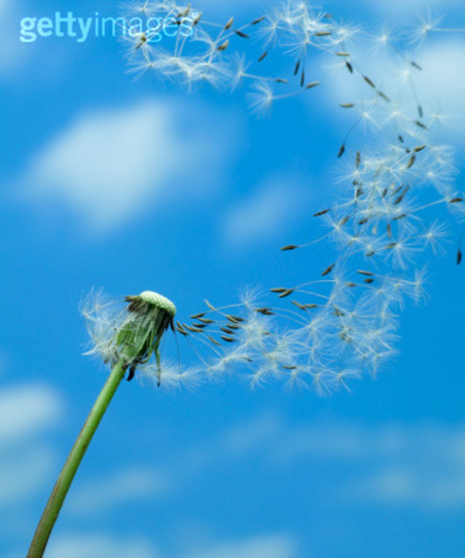 听久石让的曲子心真的很宁静