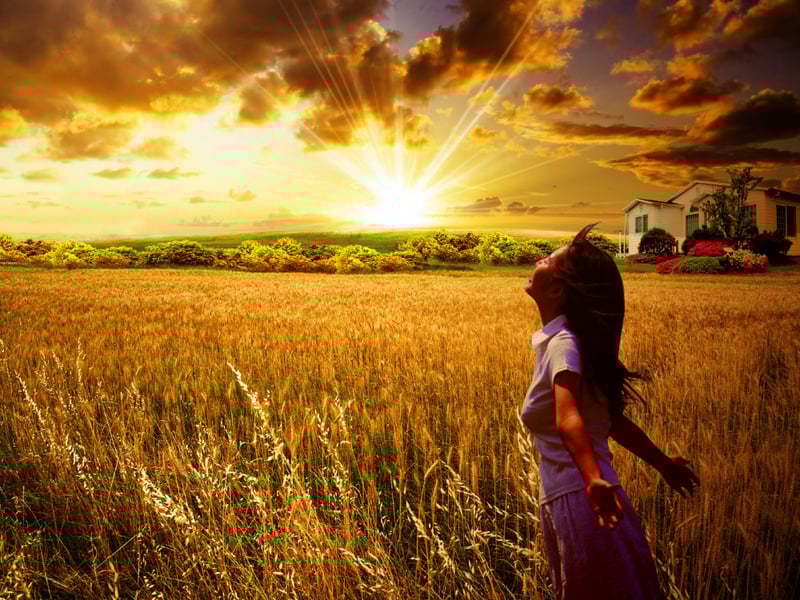 蒙牛麦香味早餐奶