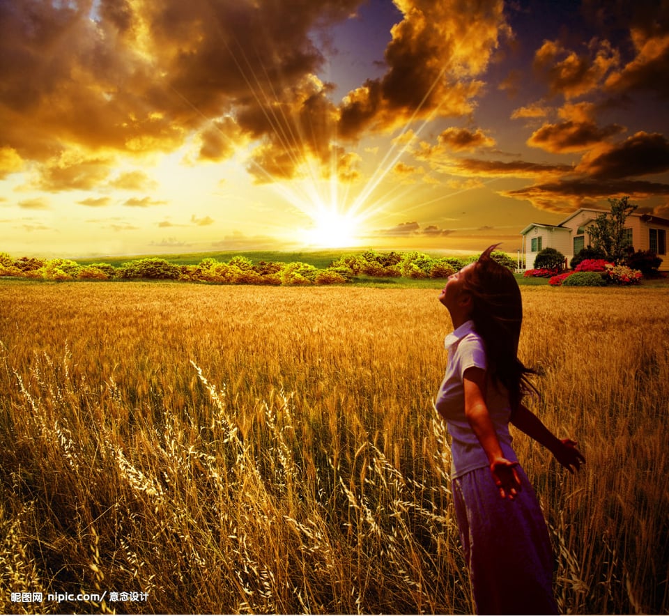 蒙牛麦香味早餐奶