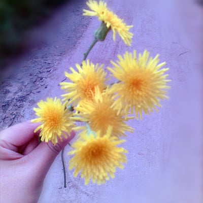 今天我一直在上豆瓣