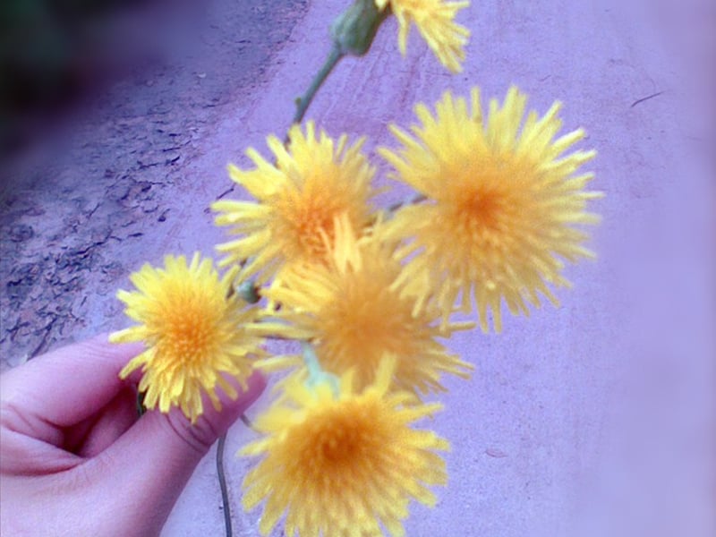 今天我一直在上豆瓣