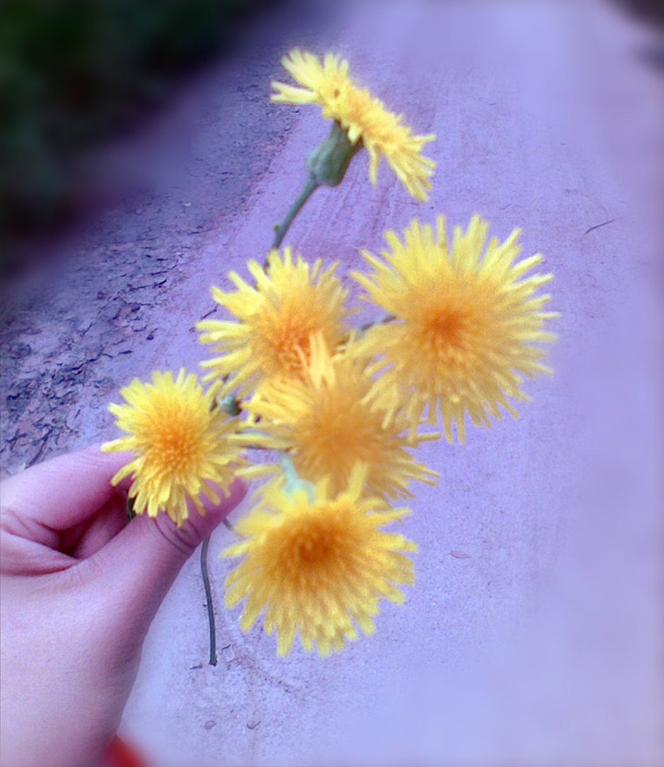 今天我一直在上豆瓣