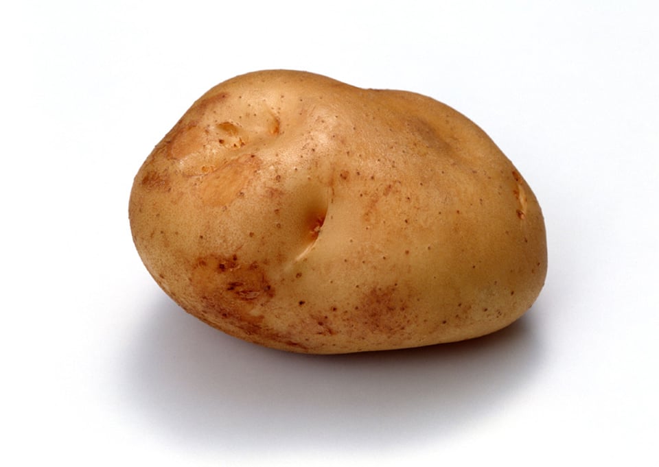 potato