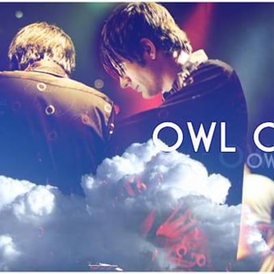 owl city