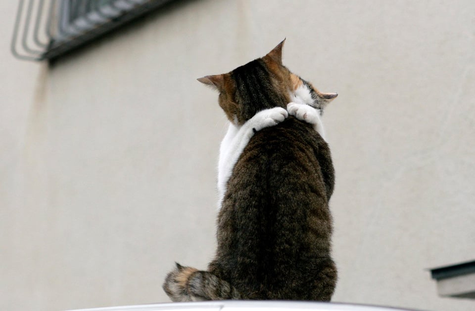 那个夏天 空气中有你的味道