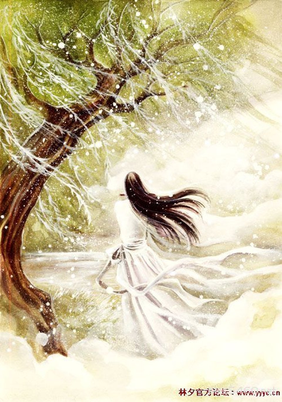 谁的一袭白衣惊鸿了岁月