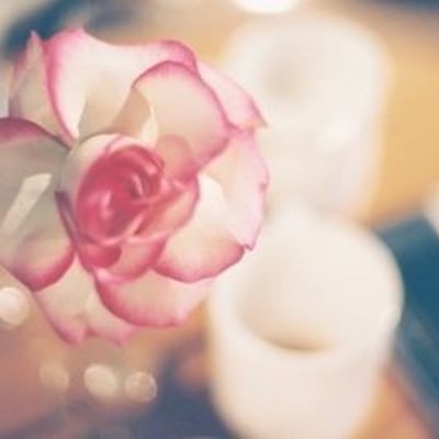 粉色玫瑰花海浪的声音你