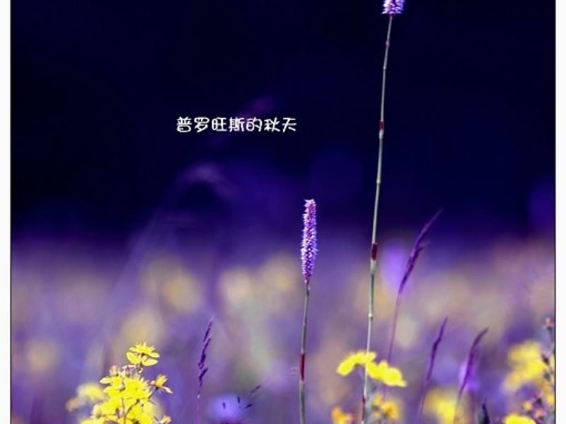 歌曲stay the night