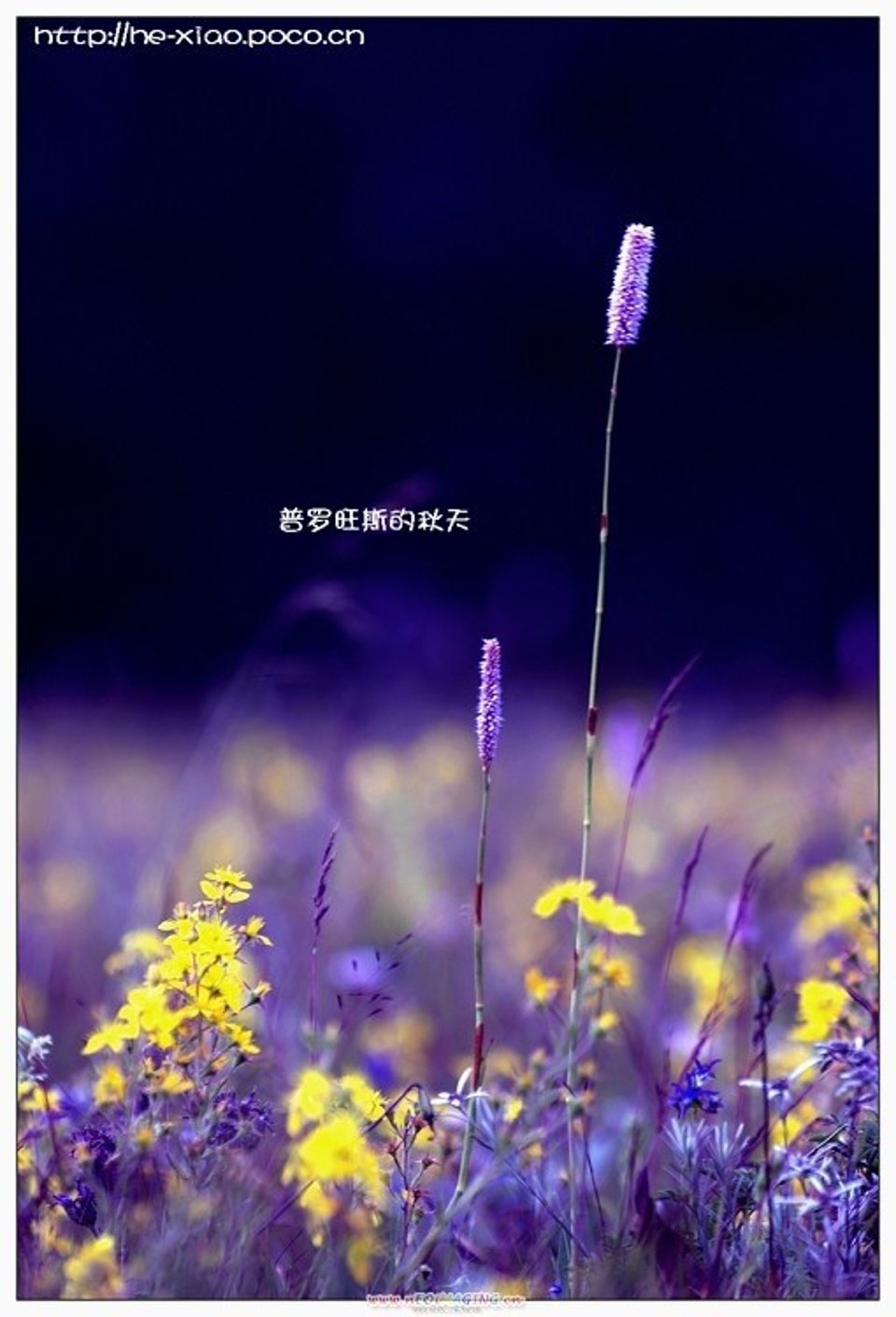 歌曲stay the night