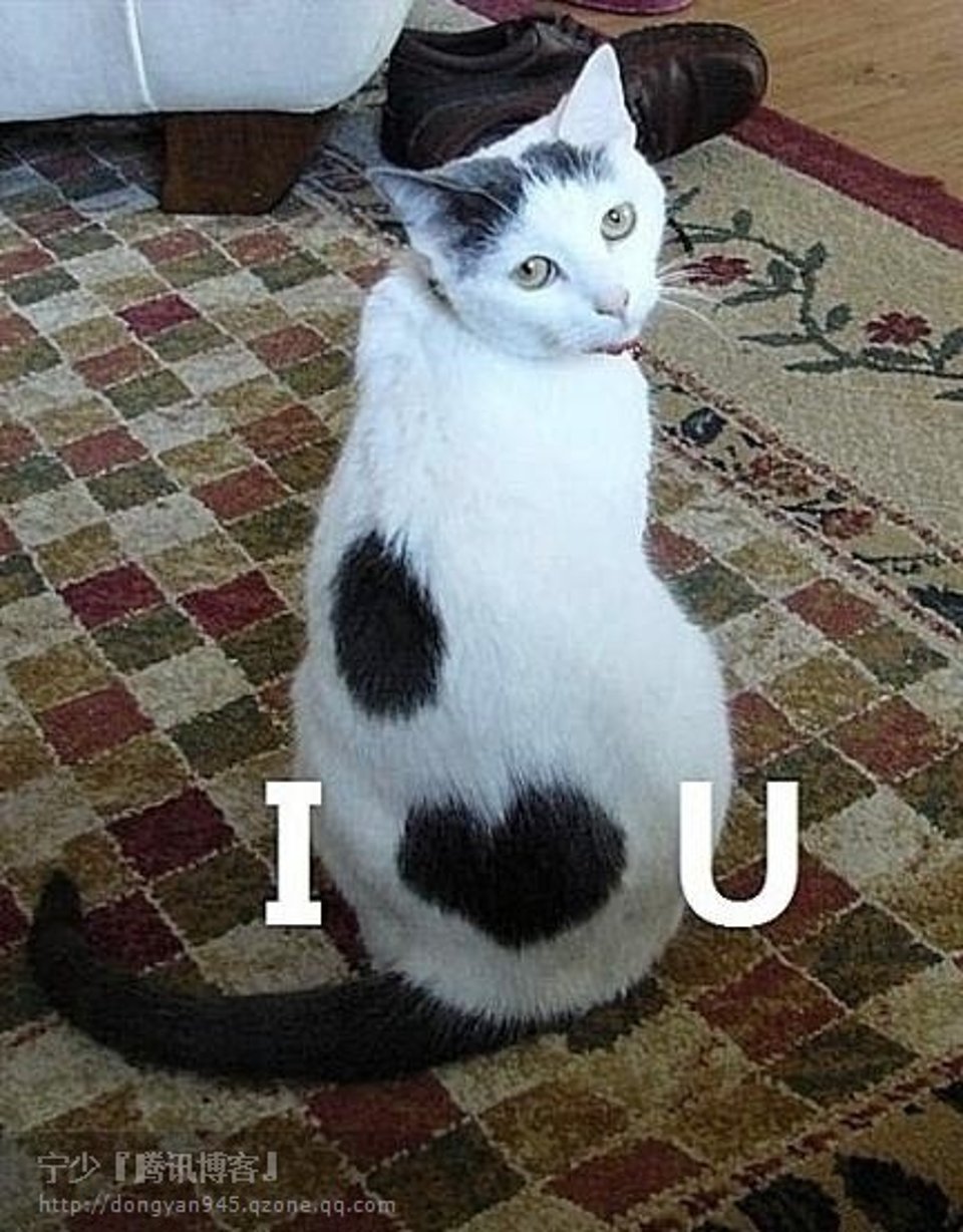 分享我喜欢的东西比如采麦