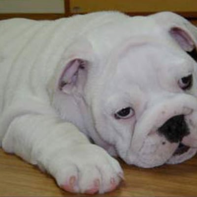 今天我爱上了发呆