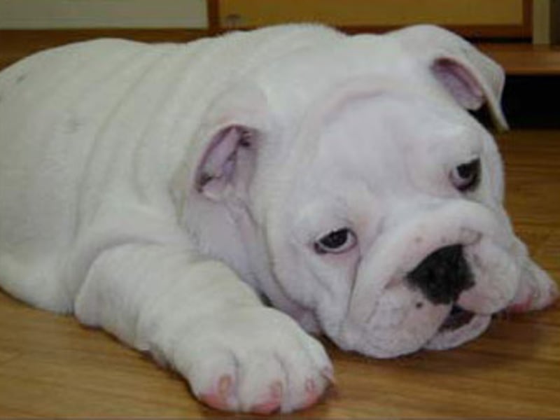 今天我爱上了发呆