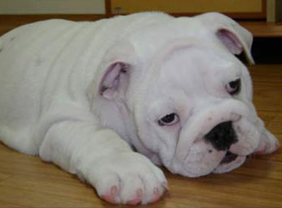 今天我爱上了发呆