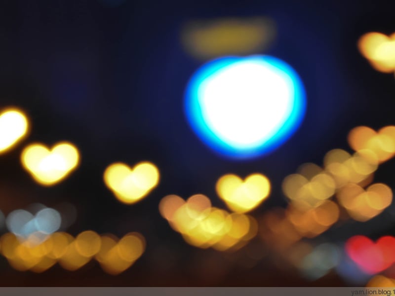 物是人非的风景