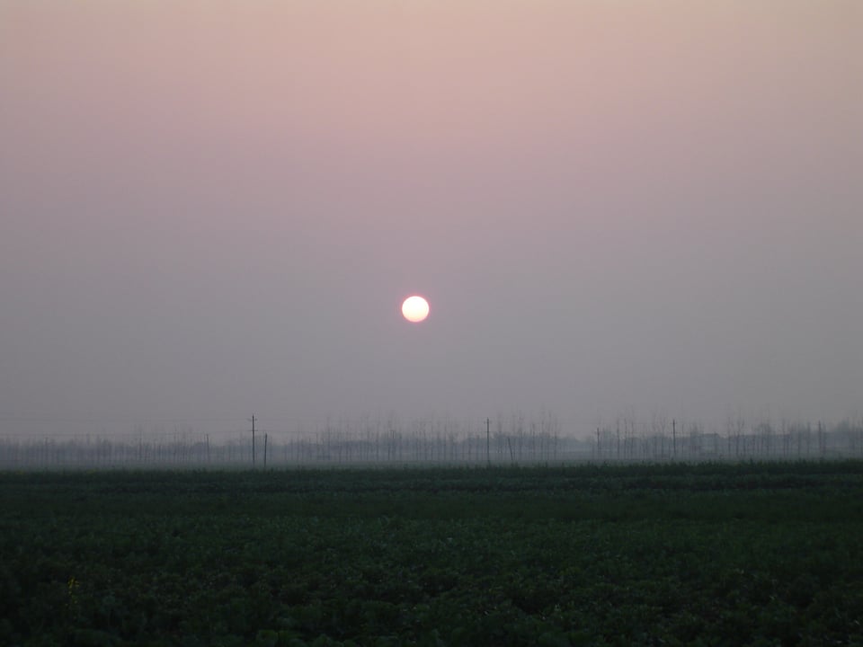 看不刺眼的太阳