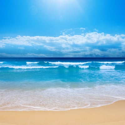 浪花