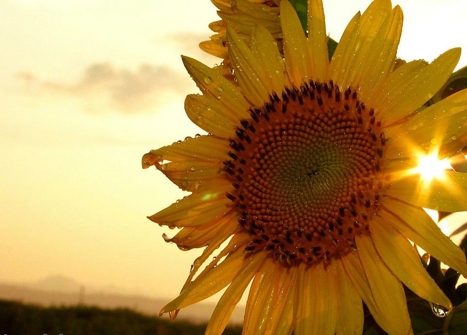 来自陌生人的温暖
