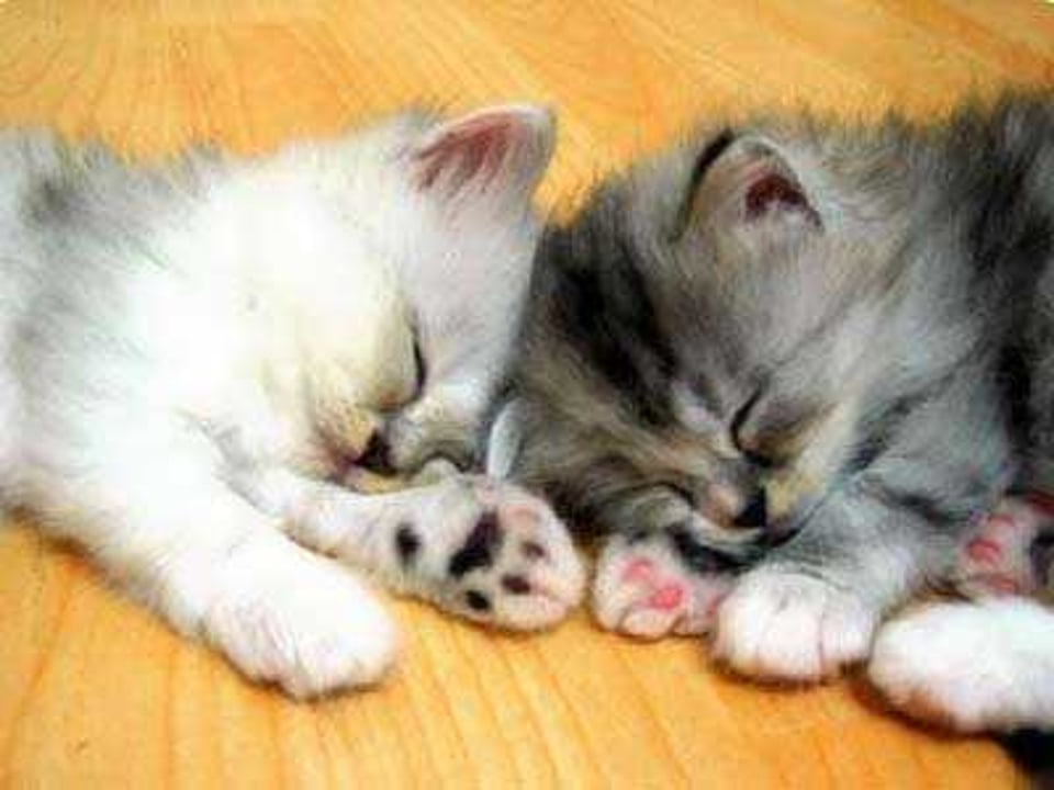 夏天睡在地板上