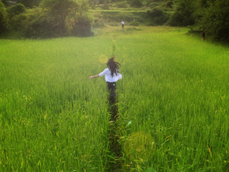 给电脑换一个春装