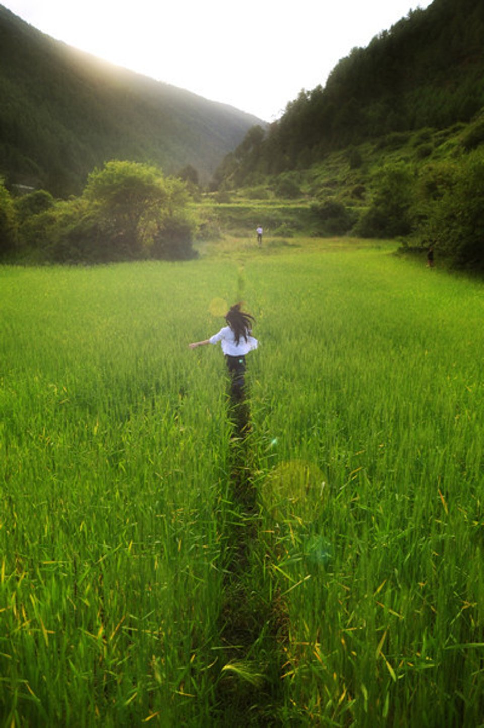 给电脑换一个春装