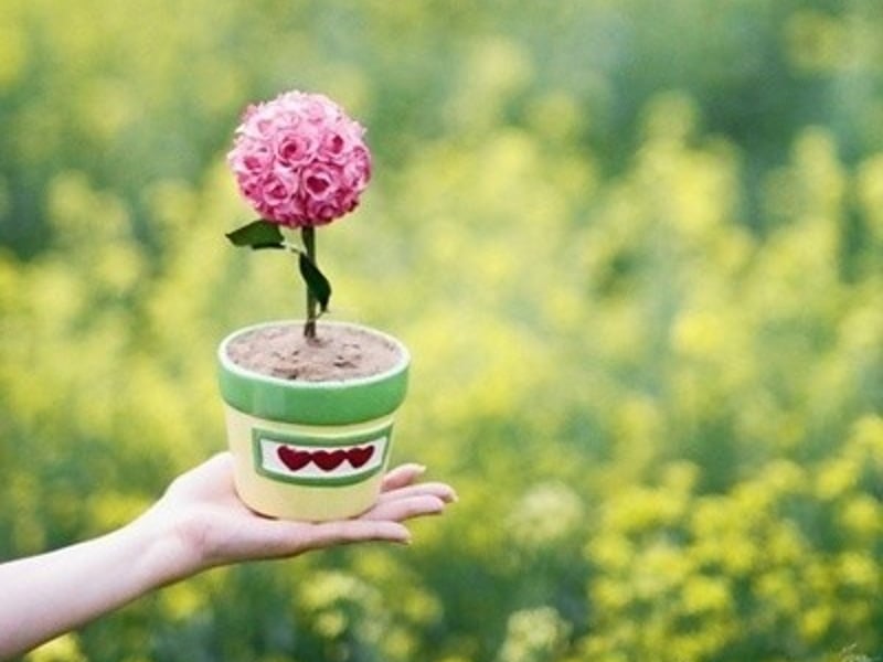 为了小家买螺丝