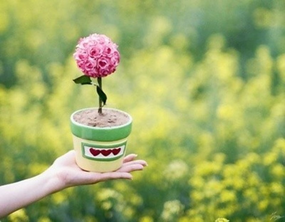 为了小家买螺丝