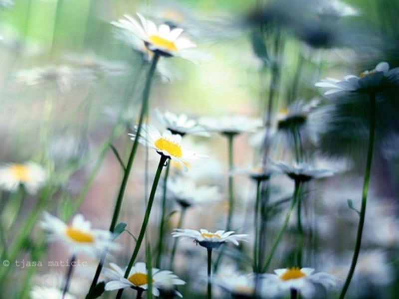 记忆 很凌乱很残缺