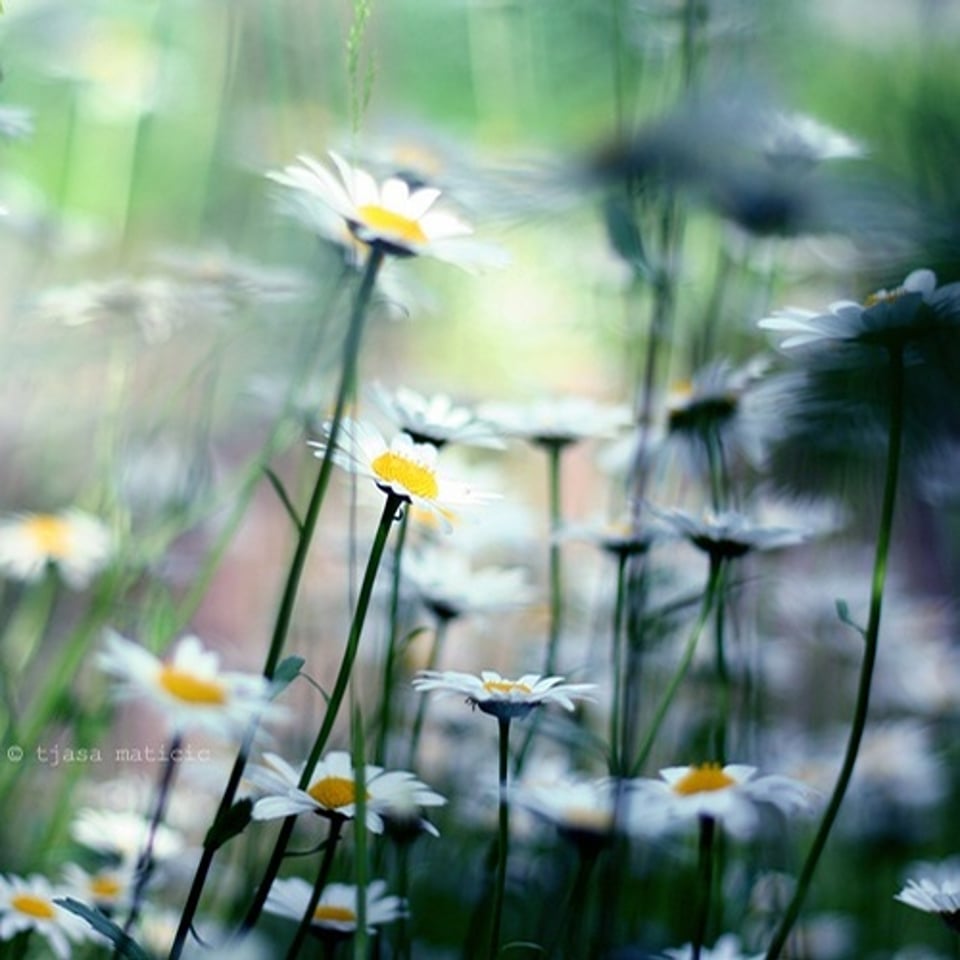 记忆 很凌乱很残缺