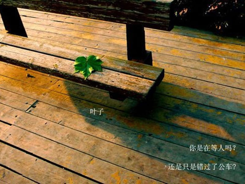 莫文蔚 外面的世界