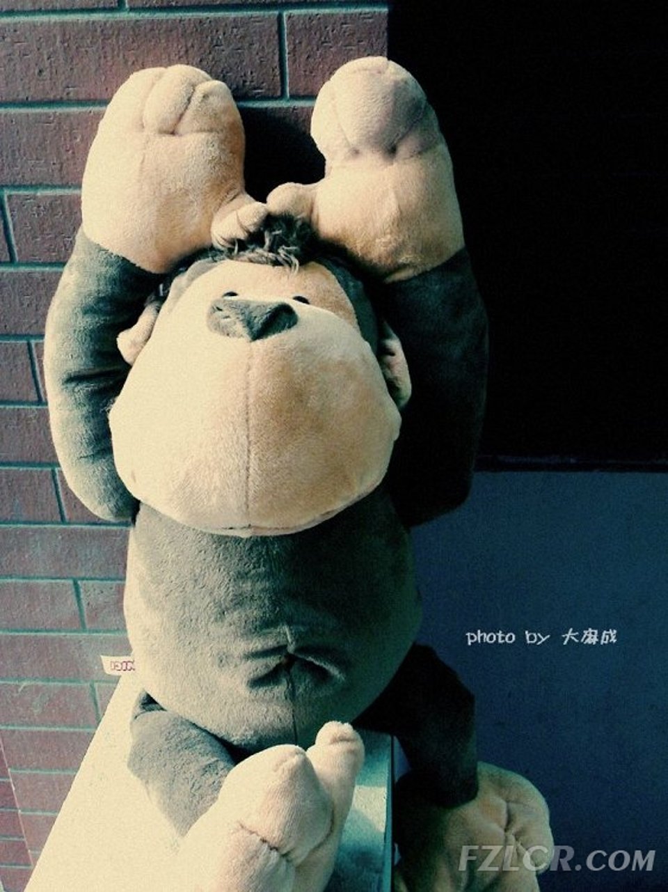 回忆 回忆里的狗血烂青春