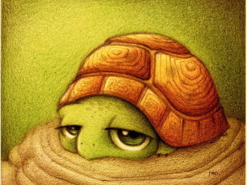 劳资今天不爽了